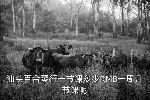 汕头学钢琴学费多少，汕头南海琴行一节钢琴课多少钱谢谢了大神帮忙啊