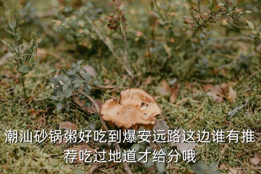 杭州有多少家潮汕砂锅粥，潮汕砂锅粥好吃到爆安远路这边谁有推荐吃过地道才给分哦