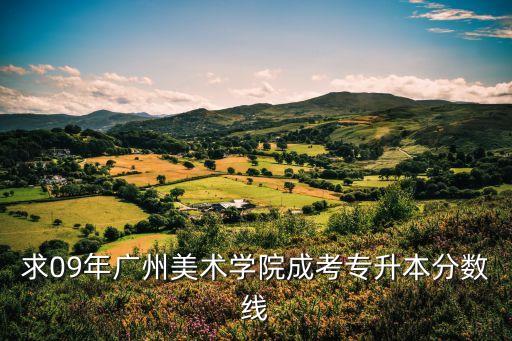 求09年广州美术学院成考专升本分数线