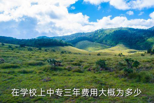中职学费是多少钱，一般中专一年学费多少