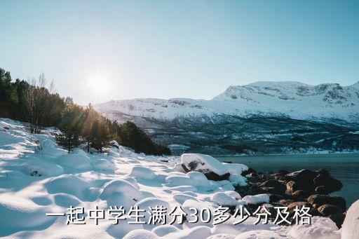 一起中学生满分30多少分及格