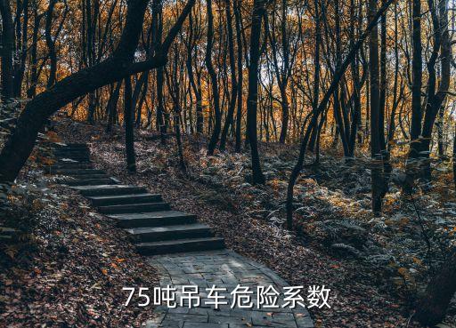 75吨吊车危险系数