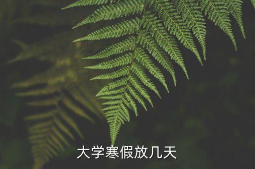 哈佛大学寒假多少天，大学寒假一般放多少天