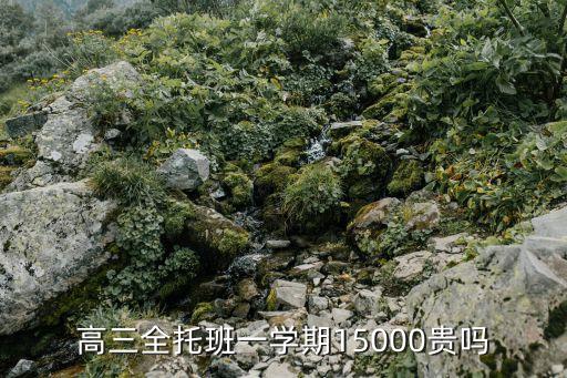 高三全托班一学期15000贵吗