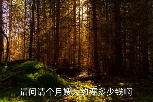 黄骅月嫂多少钱，雇好点的24小时月嫂多少钱呀 给月嫂公司钱吗