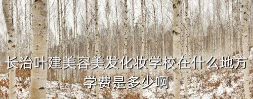 长治叶建美容美发化妆学校在什么地方学费是多少啊