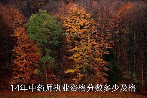 14年中药师执业资格分数多少及格