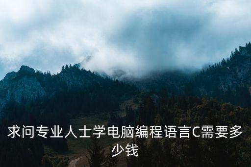 求问专业人士学电脑编程语言C需要多少钱