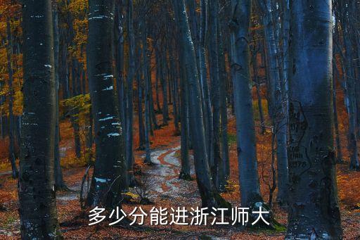 多少分能进浙江师大