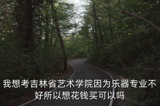 我想考吉林省艺术学院因为乐器专业不好所以想花钱买可以吗