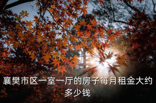襄樊市区一室一厅的房子每月租金大约多少钱