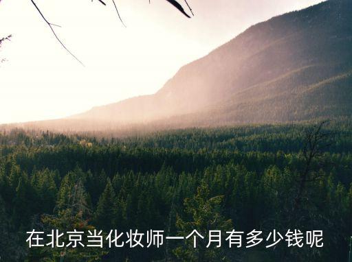 在北京当化妆师一个月有多少钱呢