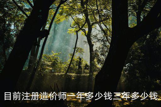 目前注册造价师一年多少钱三年多少钱