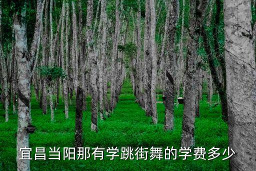 宜昌当阳那有学跳街舞的学费多少
