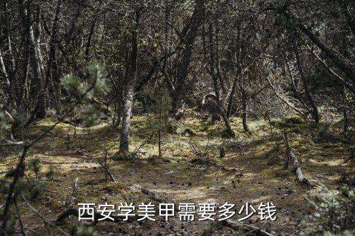 西安学美甲学费多少钱，在西安学美甲需要多少钱