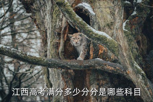 江西高考满分多少分分是哪些科目