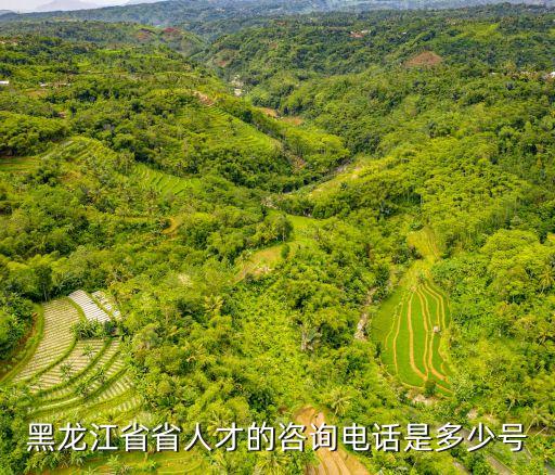 黑龙江人力资源电话号码是多少，黑龙江省省人才的咨询电话是多少号