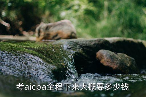 uscpa考完花多少，CFA考下来要花多少钱
