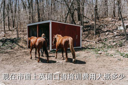 学英语口语要多少钱，学英语要多少钱
