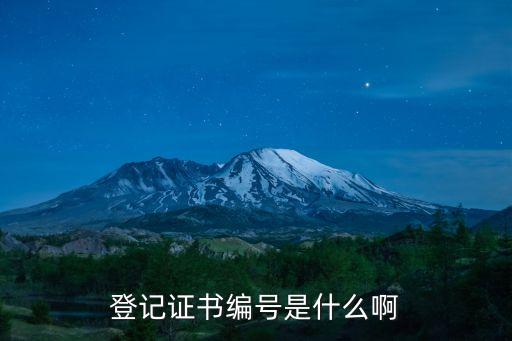 登记证书编号是什么啊
