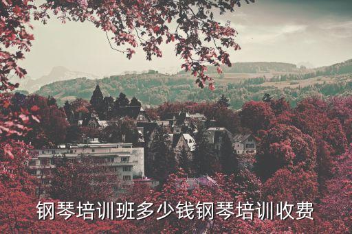 钢琴培训班多少钱钢琴培训收费