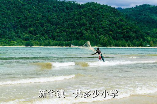 新华镇一共多少小学