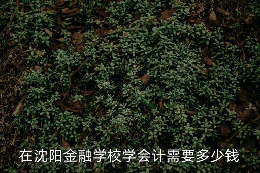 沈阳学会计多少钱，在沈阳金融学校学会计需要多少钱