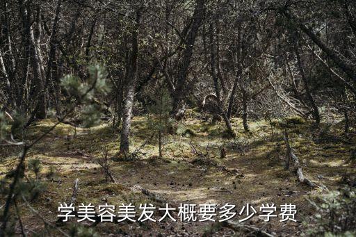 学美容美发大概要多少学费
