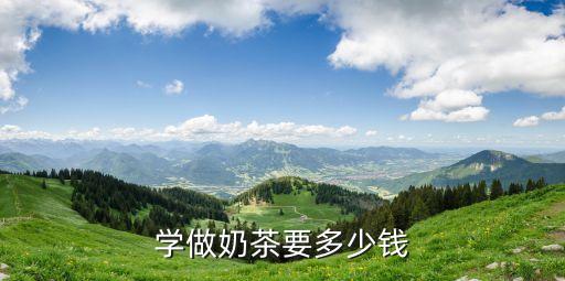 学做奶茶要多少钱