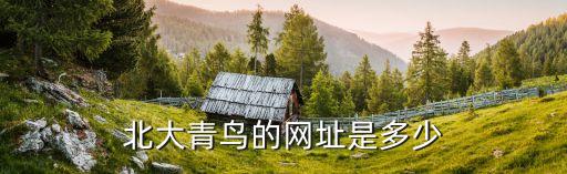 北大青鸟的网址是多少