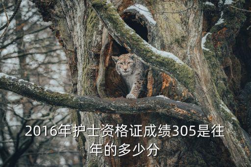 2016年护士资格证成绩305是往年的多少分