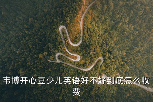 韦博开心豆少儿英语好不好到底怎么收费