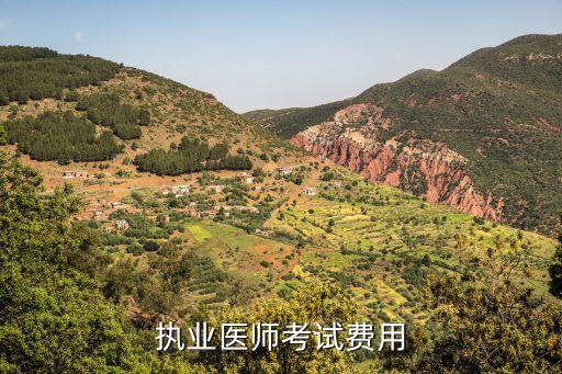 执业医师考试费用