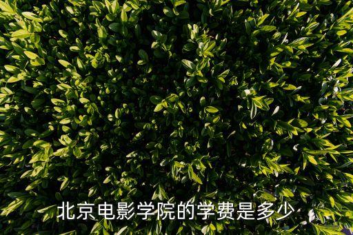 北京电影学院的学费是多少