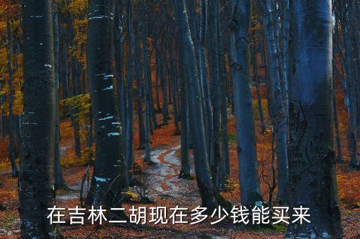 松原二胡多少钱一把，在吉林二胡现在多少钱能买来