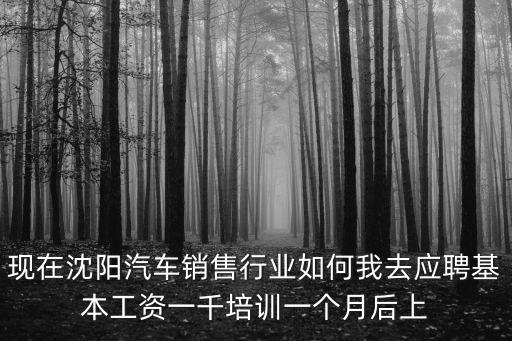 现在沈阳汽车销售行业如何我去应聘基本工资一千培训一个月后上