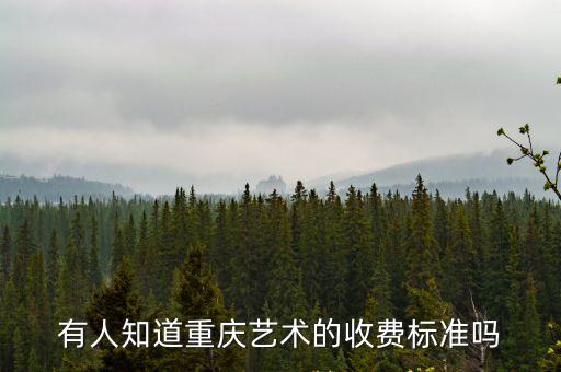 有人知道重庆艺术的收费标准吗