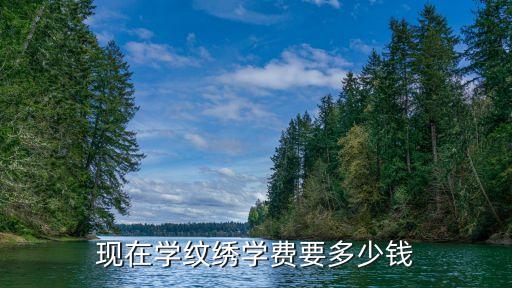 现在学纹绣学费要多少钱