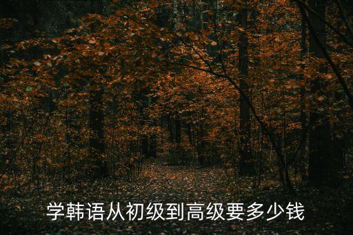 学韩语从初级到高级要多少钱
