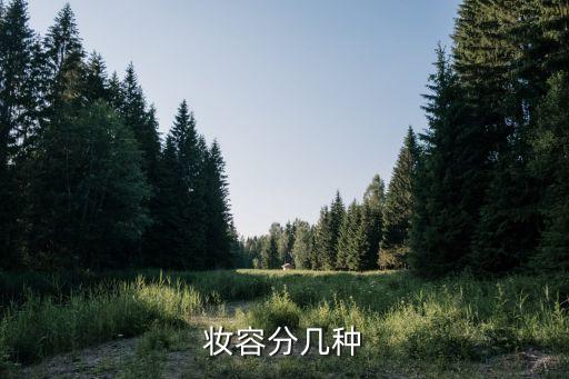 妆容分几种