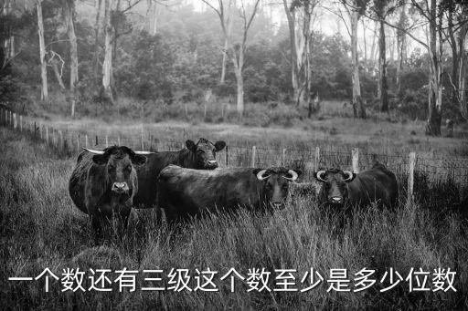 三级数是多少，一个数有三级 它至少是几位数