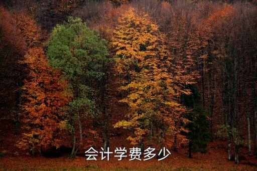 会计学费多少