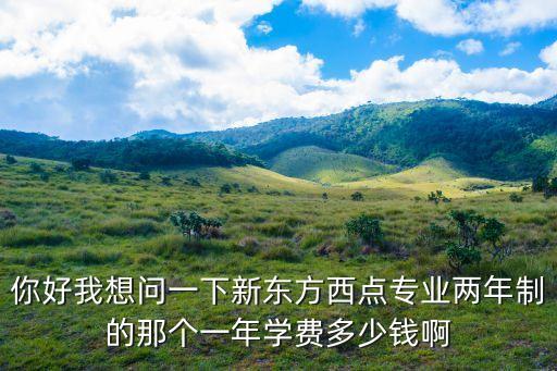 学两年西点多少钱，上新东方烹饪学校学习西点两年制的需要多少钱