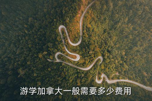 十岁加拿大游学多少钱，孩子打算以后去加拿大留学所以打算让他先去那边看看情况请问加