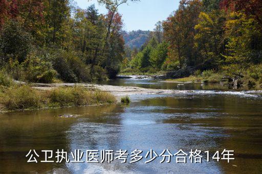 公卫执业医师考多少分合格14年