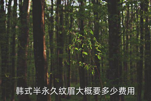 韩式半永久纹眉大概要多少费用