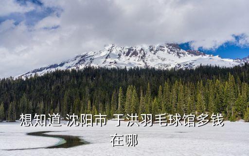 想知道 沈阳市 于洪羽毛球馆多钱 在哪
