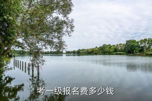 考一级报名费多少钱