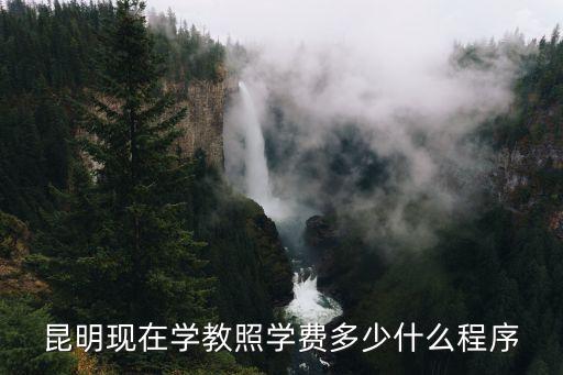 昆明现在学教照学费多少什么程序