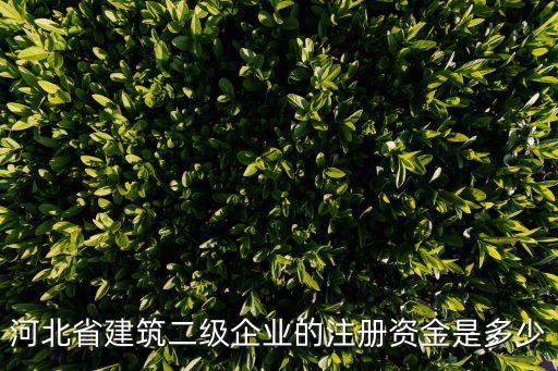 廊坊二建注册资金多少，二级资质注册资金是多少